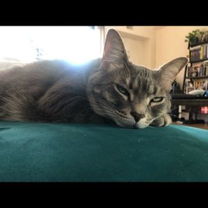 Meet your Posher, Mary louise